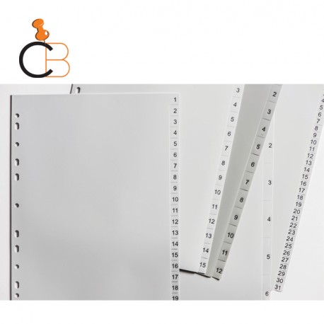 PP GREY DIVIDERS NUMERICAL or ALPHABETICAL